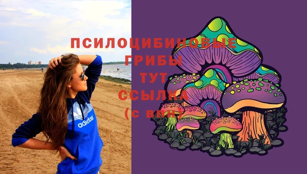 скорость Новозыбков