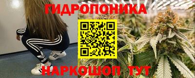 PSILOCYBIN Заволжье