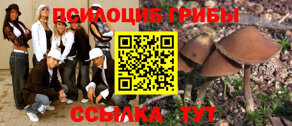 Псилоцибиновые грибы Psilocybine cubensis Качканар