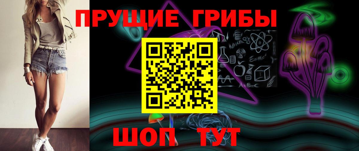 Качканар  Псилоцибиновые грибы Psilocybine cubensis  Вход с VPN 