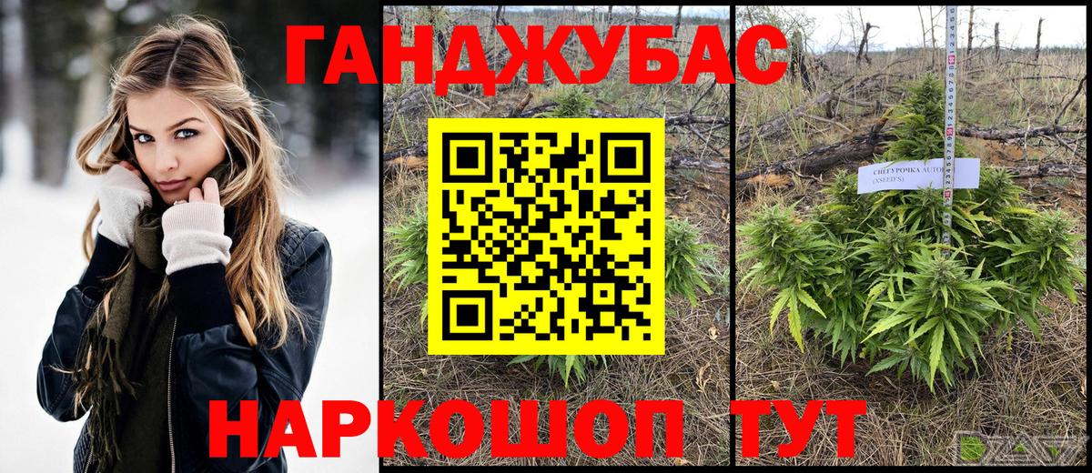 Каннабис OG Kush Качканар